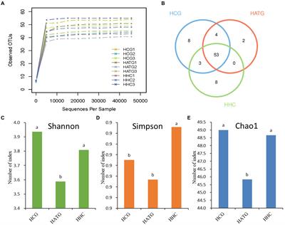 Unraveling the effects of sulfamethoxazole on the composition of gut microbiota and immune responses in Stichopus variegatus